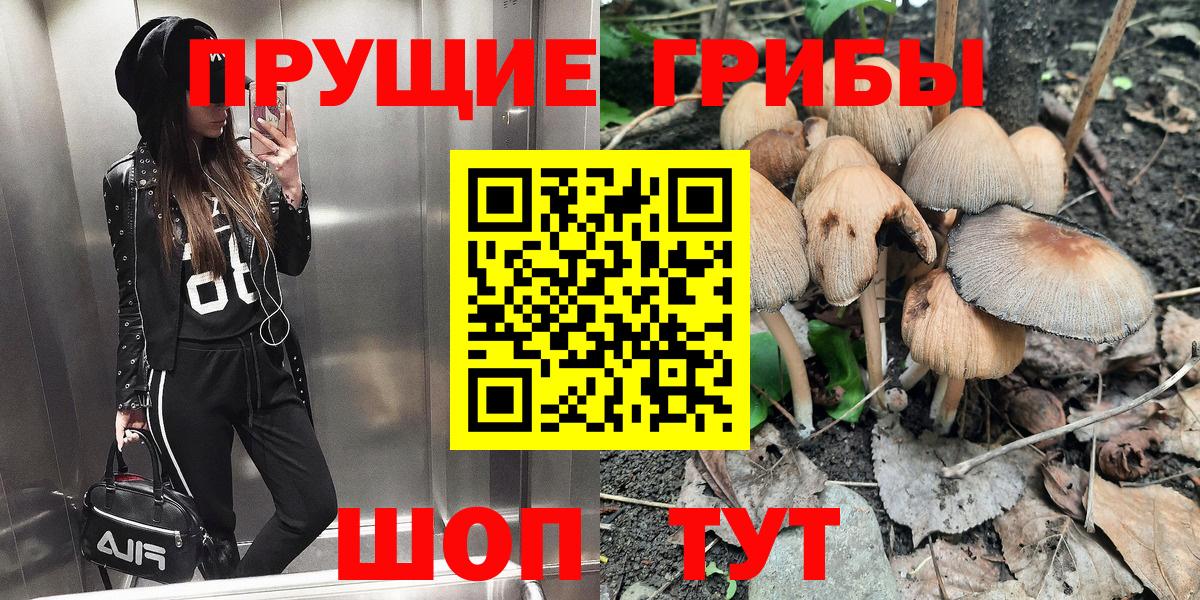 где купить наркоту  Галлюциногенные грибы Psilocybe  Вход с VPN  Кировск 